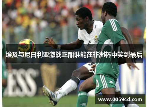 埃及与尼日利亚激战正酣谁能在非洲杯中笑到最后